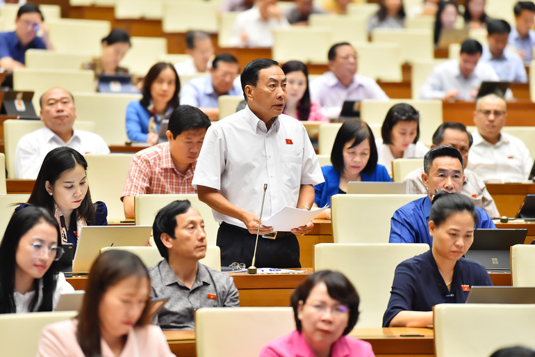 Đại biểu Phạm Văn Hòa (Đồng Tháp) phát biểu. (Ảnh: THỦY NGUYÊN)