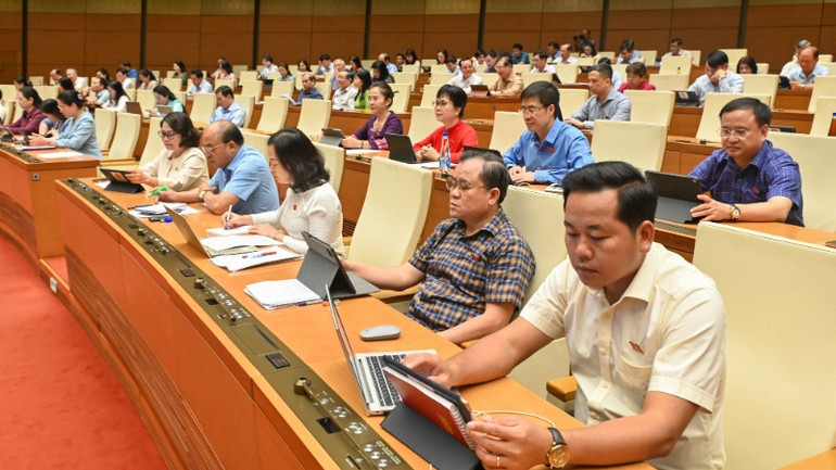 Các đại biểu dự phiên họp. (Ảnh: BÙI GIANG)