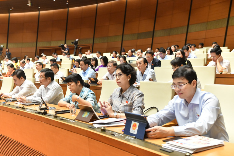 Các đại biểu Quốc hội tại phiên họp sáng 3/11. (Ảnh: ĐĂNG KHOA)