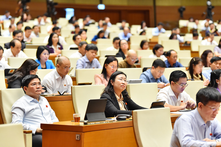 Các đại biểu Quốc hội tham dự phiên họp chiều 28/5. (Ảnh: THỦY NGUYÊN)