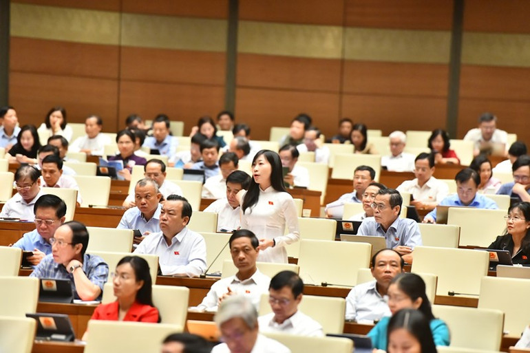 Đại biểu Hoàng Thị Thanh Thúy - Đoàn đại biểu Quốc hội tỉnh Tây Ninh đặt câu hỏi chất vấn Bộ trưởng, Chủ nhiệm Ủy ban Dân tộc. (Ảnh: ĐĂNG KHOA)