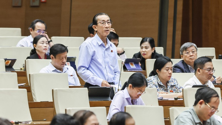 Đại biểu Trần Hoàng Ngân (Thành phố Hồ Chí Minh) phát biểu. (Ảnh: DUY LINH)