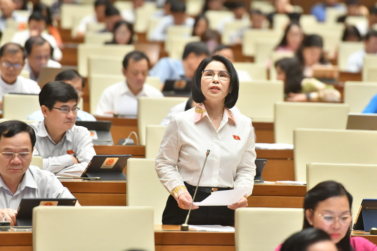 Đại biểu Trần Thị Nhị Hà - Đoàn đại biểu Quốc hội thành phố Hà Nội. (Ảnh: ĐĂNG KHOA) Đại biểu Trần Thị Nhị Hà - Đoàn đại biểu Quốc hội thành phố Hà Nội. (Ảnh: ĐĂNG KHOA)