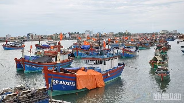 Đội tàu đánh bắt xa bờ của ngư dân Quảng Bình. (Ảnh: YẾN NHI)