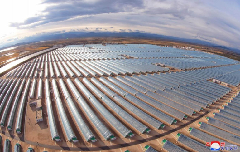 Cận cảnh các khối nhà kính của trang trại. Ảnh: KCNA