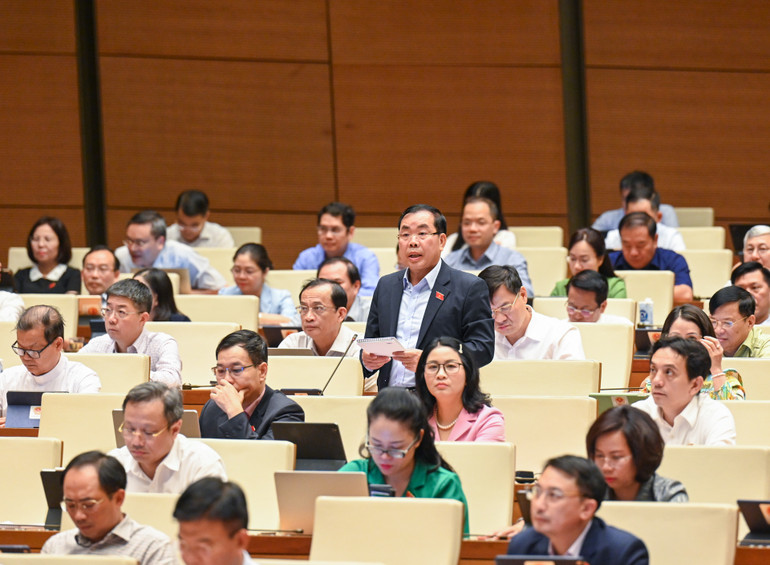 Đại biểu Nguyễn Quang Huân-Đoàn đại biểu Quốc hội tỉnh Bình Dương phát biểu. (Ảnh: DUY LINH)