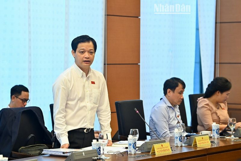 Đại biểu Nguyễn Hải Nam - Đoàn đại biểu Quốc hội tỉnh Thừa Thiên Huế phát biểu thảo luận. (Ảnh: DUY LINH)