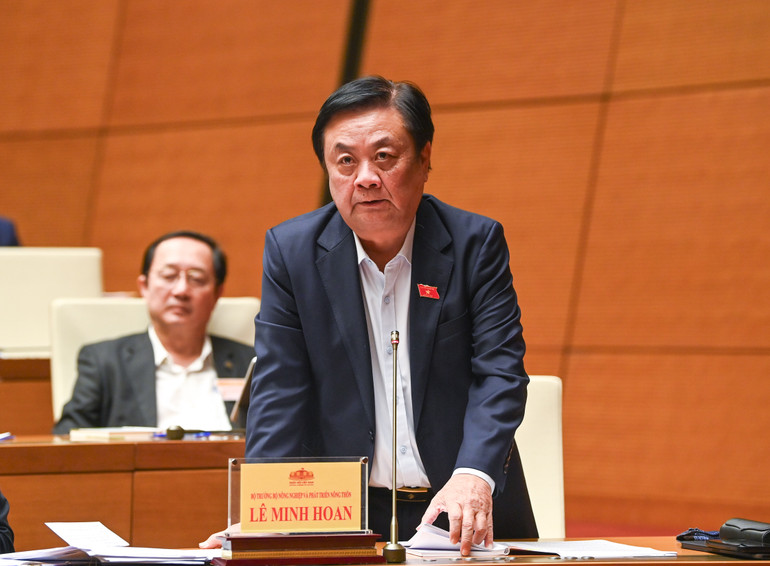 Bộ trưởng Nông nghiệp và Phát triển nông thôn Lê Minh Hoan trả lời chất vấn. (Ảnh: DUY LINH) Bộ trưởng Nông nghiệp và Phát triển nông thôn Lê Minh Hoan trả lời chất vấn. (Ảnh: DUY LINH)