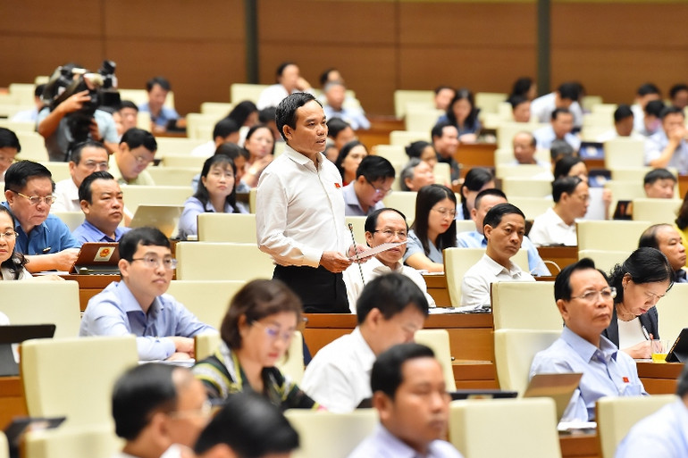 Phó Thủ tướng Chính phủ Trần Lưu Quang phát biểu tại phiên chất vấn sáng 7/6. (Ảnh: THỦY NGUYÊN)