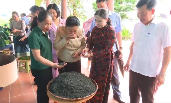 Đồng chí Phó Chủ tịch Quốc hội Lào thăm Hợp tác xã chè Hảo Đạt.