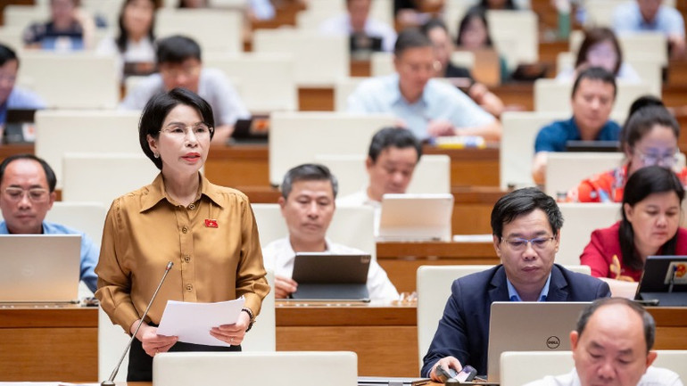 Đại biểu Trần Thị Nhị Hà (Hà Nội) phát biểu. (Ảnh: THỦY NGUYÊN)