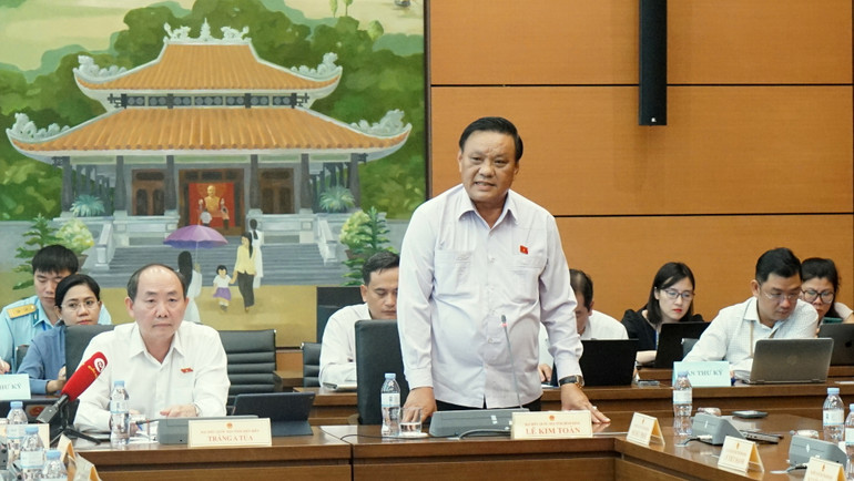 Đại biểu Lê Kim Toàn (Bình Định) phát biểu. (Ảnh: TRUNG HƯNG)