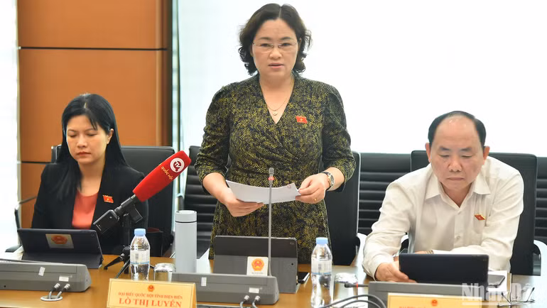 Đại biểu Lò Thị Luyến (Điện Biên) phát biểu thảo luận tại Tổ 8. (Ảnh: THỦY NGUYÊN)