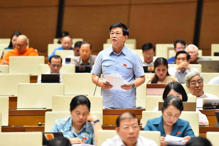 Đại biểu Đỗ Ngọc Thịnh (Khánh Hòa) phát biểu. (Ảnh: THỦY NGUYÊN)