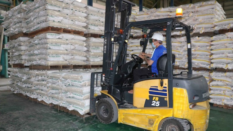 Vận chuyển gạo xuất khẩu đã được đóng bao. (Ảnh: TTXVN)