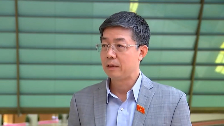 Đại biểu Nguyễn Mạnh Hùng (Cần Thơ).