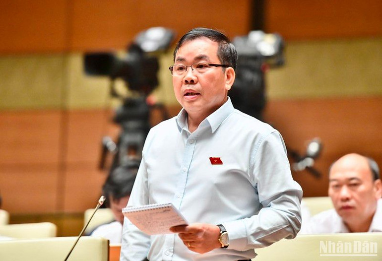 Đại biểu Nguyễn Quang Huân (Bình Dương) phát biểu. (Ảnh: ĐĂNG KHOA)