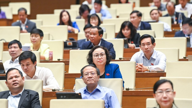 Các đại biểu Quốc hội tham dự phiên họp. (Ảnh: DUY LINH)