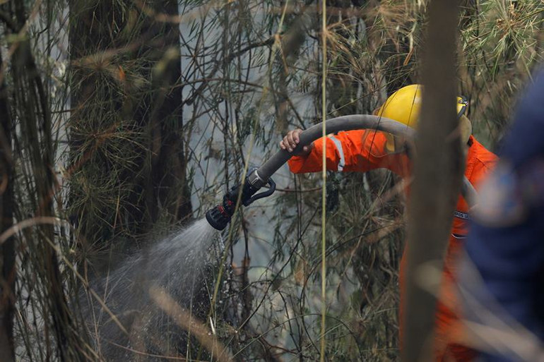 Nỗ lực ứng phó cháy rừng ở Công viên quốc gia Henri Pittier, Maracay, Venezuela, ngày 29/3/2024. (Ảnh: Reuters) Nỗ lực ứng phó cháy rừng ở Công viên quốc gia Henri Pittier, Maracay, Venezuela, ngày 29/3/2024. (Ảnh: Reuters)