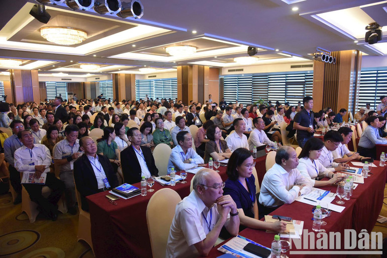 Các đại biểu tham dự Hội nghị.