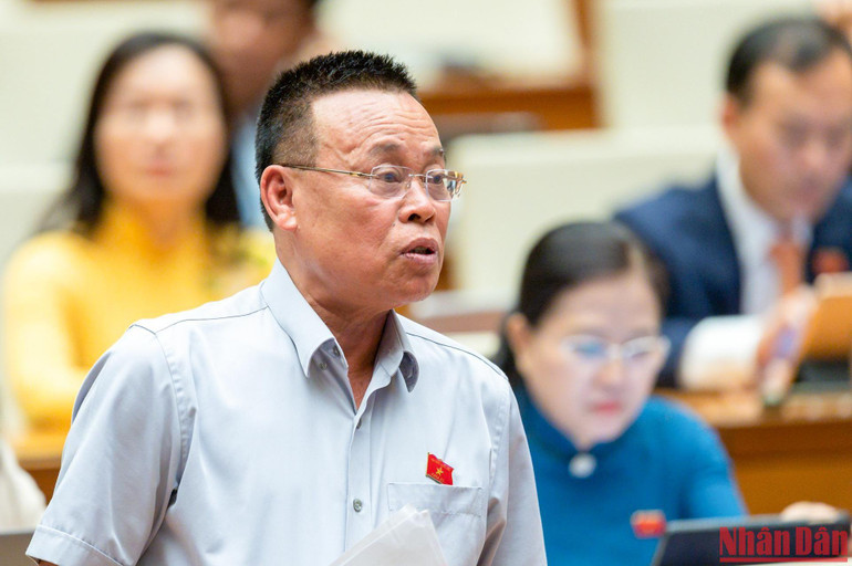 Đại biểu Nguyễn Như So (Bắc Ninh) phát biểu. (Ảnh: DUY LINH)