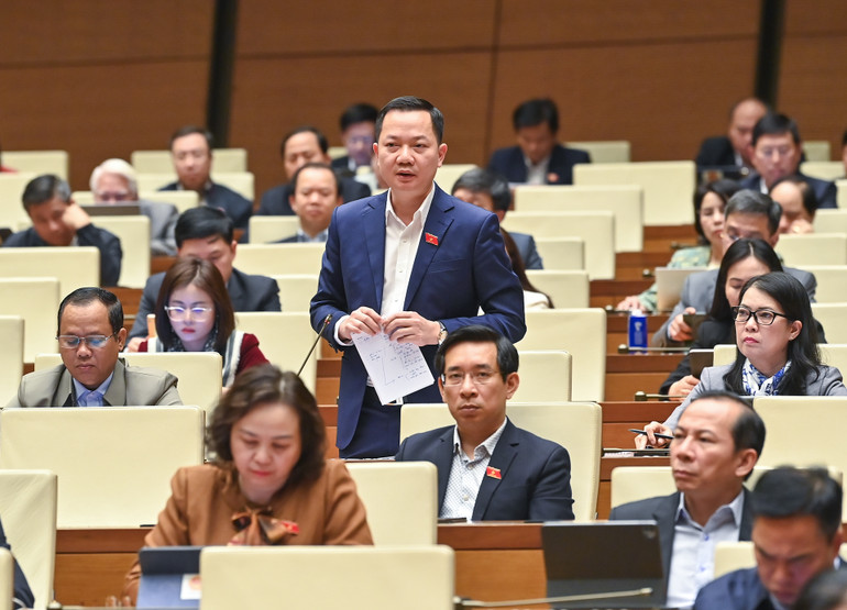 Đại biểu Trịnh Xuân An (Đồng Nai) phát biểu. (Ảnh: DUY LINH)