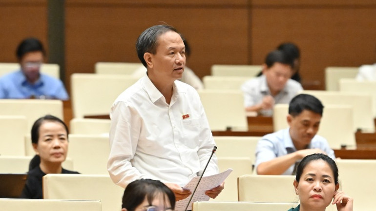 Đại biểu Đinh Ngọc Minh (Cà Mau) phát biểu. (Ảnh: THỦY NGUYÊN)