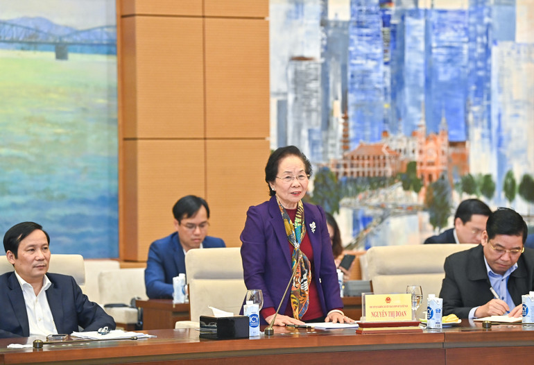 Phó Chủ tịch không chuyên trách Ủy ban Trung ương Mặt trận Tổ quốc Việt Nam Nguyễn Thị Doan phát biểu tại hội nghị.