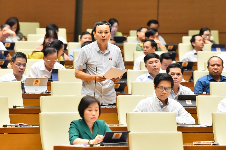 Đại biểu Hoàng Hữu Chiến (An Giang) phát biểu. (Ảnh: THỦY NGUYÊN)