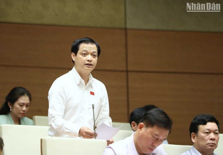 Đại biểu Nguyễn Hải Nam (Thừa Thiên Huế) phát biểu. (Ảnh: ĐĂNG KHOA)