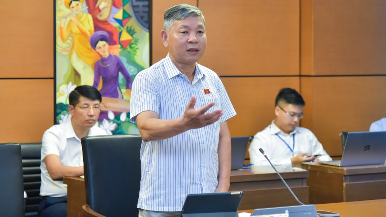 Đại biểu Nguyễn Hoàng Mai - Đoàn đại biểu Quốc hội tỉnh Tiền Giang.