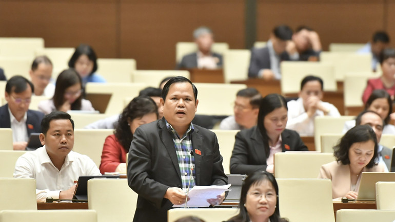 Đại biểu Nguyễn Duy Thanh - Đoàn đại biểu Quốc hội tỉnh Cà Mau phát biểu. (Ảnh: ĐĂNG KHOA)