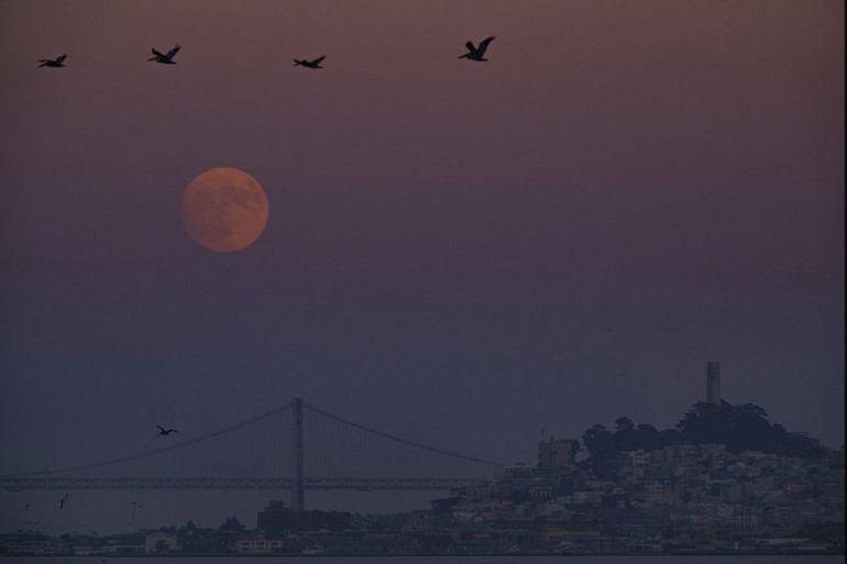 Đàn bồ nông bay ngang qua mặt trăng mọc lên ngay sau thời điểm hoàng hôn ở Fort Baker, Sausalito, California, Mỹ, ngày 29/8/2023. (Ảnh: AP)