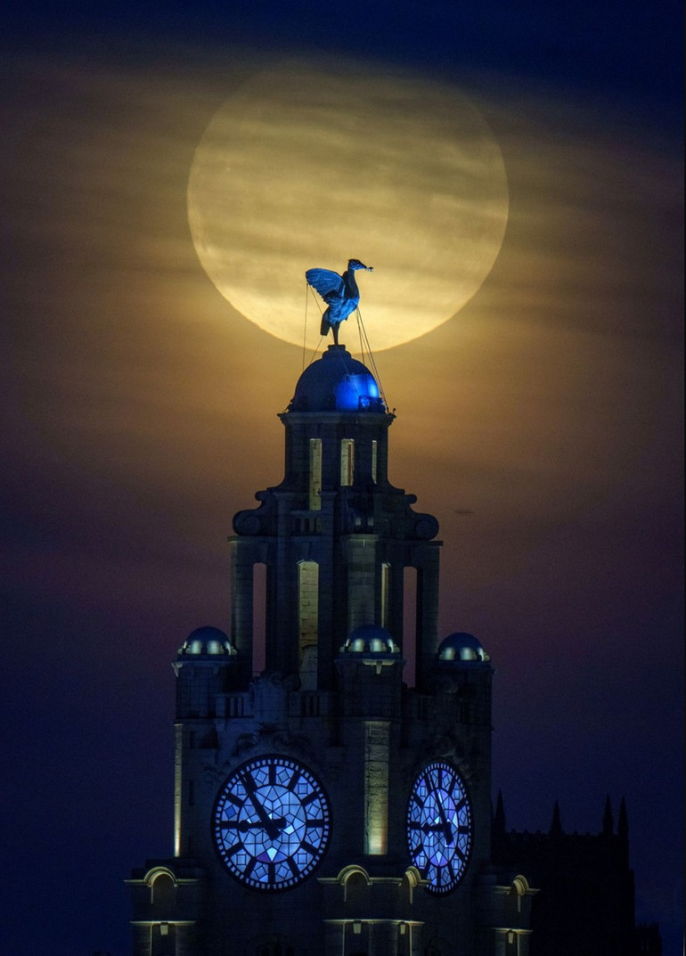 Mặt trăng vàng phía sau Tòa nhà Hoàng gia Liver và tượng chim Liver ở Liverpool, Anh, ngày 30/8/2023. (Ảnh: Getty Images)