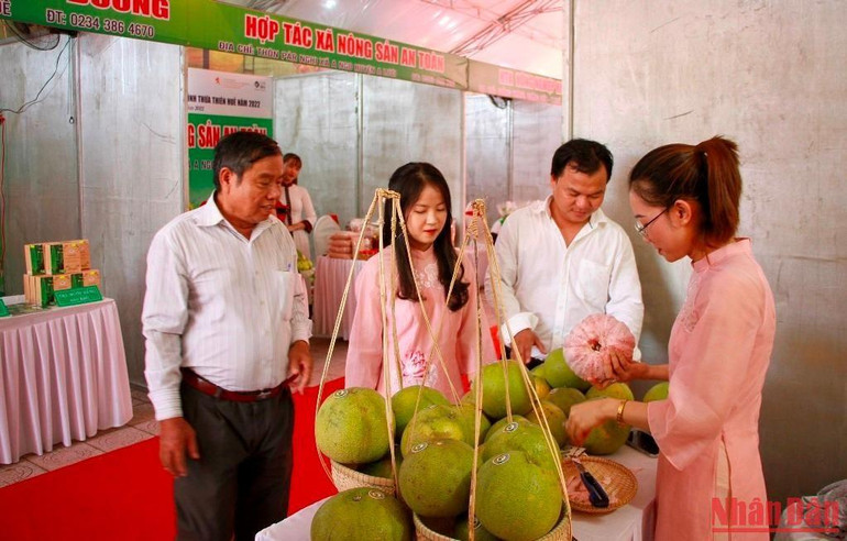 Giới thiệu sản phẩm bưởi đỏ, bưởi thanh trà của các hợp tác xã nông nghiệp trên địa bàn.