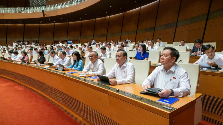 Các đại biểu Quốc hội tham dự phiên họp.