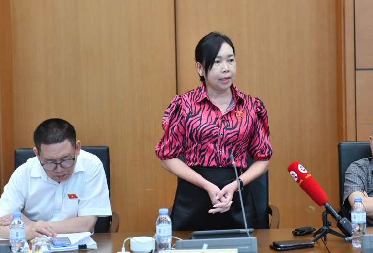 Đại biểu Lý Tiết Hạnh (Bình Định) phát biểu. (Ảnh: ĐĂNG KHOA)