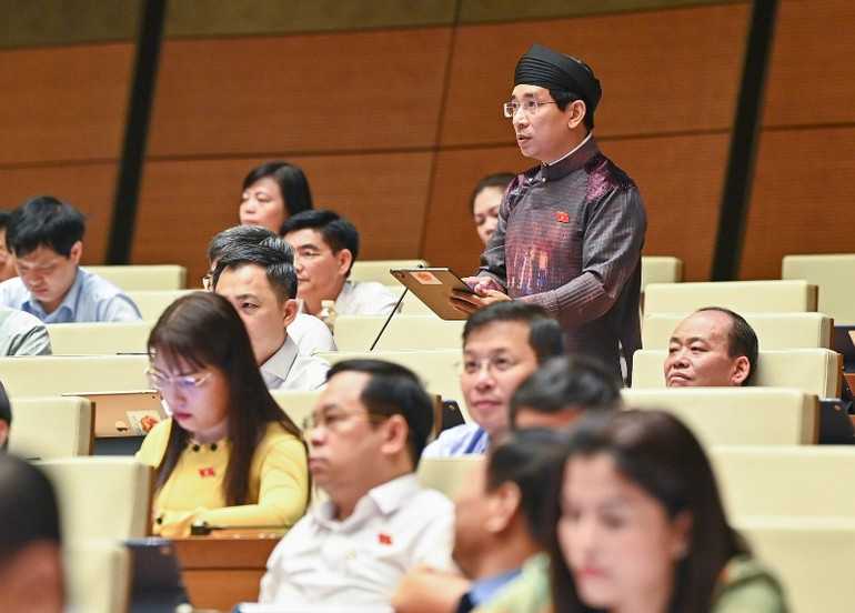 Đại biểu Nguyễn Văn Cảnh - Đoàn đại biểu Quốc hội tỉnh Bình Định. (Ảnh: DUY LINH)