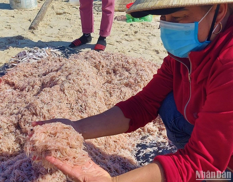 Ruốc biển vừa khai thác tươi rói.