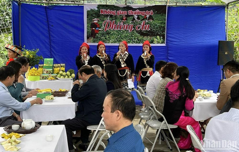 Du khách trải nghiệm không gian thưởng trà tại làng văn hóa dân tộc Dao Phiêng An.