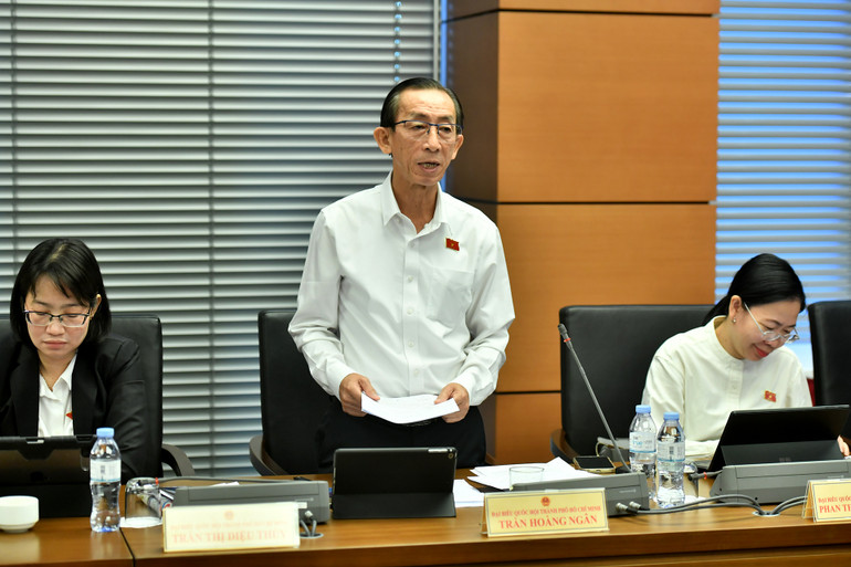 Đại biểu Trần Hoàng Ngân (Thành phố Hồ Chí Minh) phát biểu. (Ảnh: ĐĂNG KHOA)