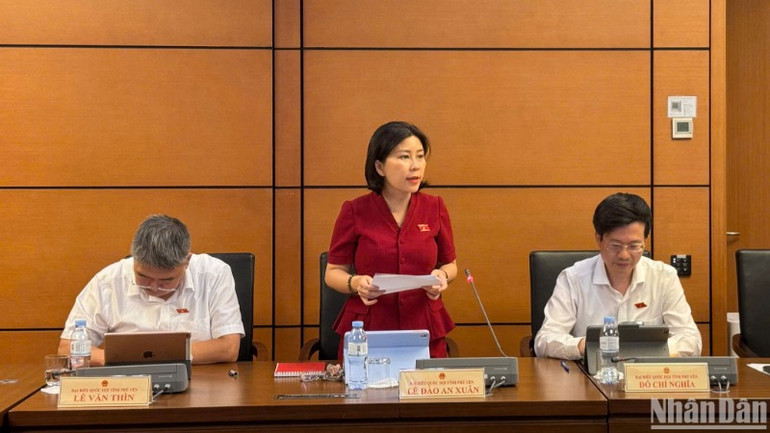 Đại biểu Quốc hội Lê Đào An Xuân. (Ảnh: TRUNG HƯNG)