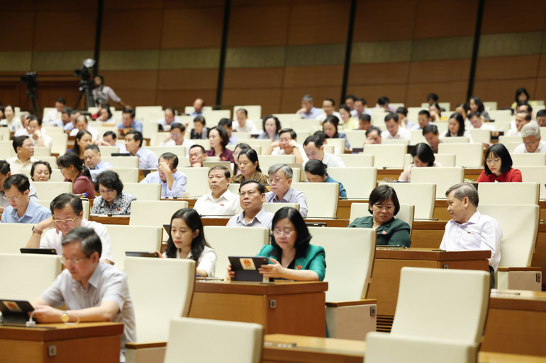 Các đại biểu tham dự phiên họp. (Ảnh: DUY LINH)