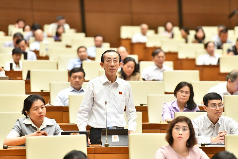 Đại biểu Trần Hoàng Ngân - Đoàn đại biểu Quốc hội TP Hồ Chí Minh phát biểu. (Ảnh: ĐĂNG KHOA)