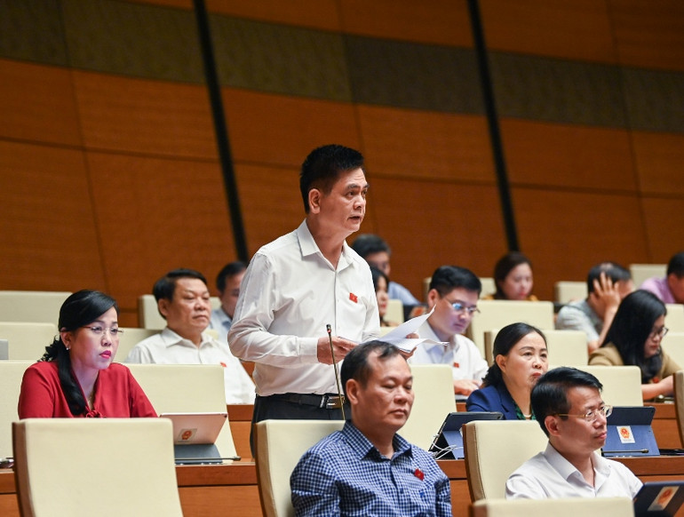 Đại biểu Nguyễn Lâm Thành (Thái Nguyên) phát biểu thảo luận. (Ảnh: DUY LINH)