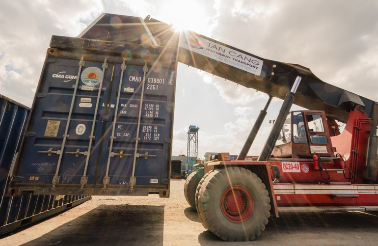 Doanh nghiệp cần xây dựng chuỗi liên kết lúa gạo để xuất khẩu bền vững.