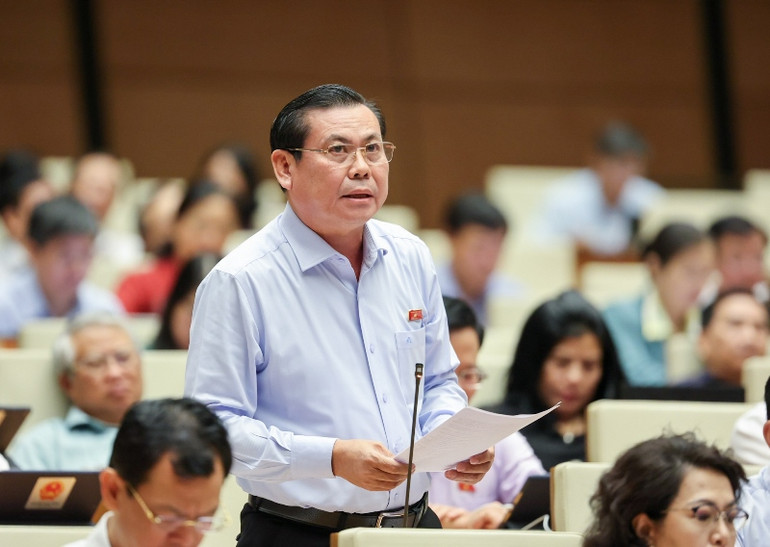 Đại biểu Đặng Văn Lẫm (Thành phố Hồ Chí Minh) phát biểu tại phiên họp. (Ảnh: DUY LINH)