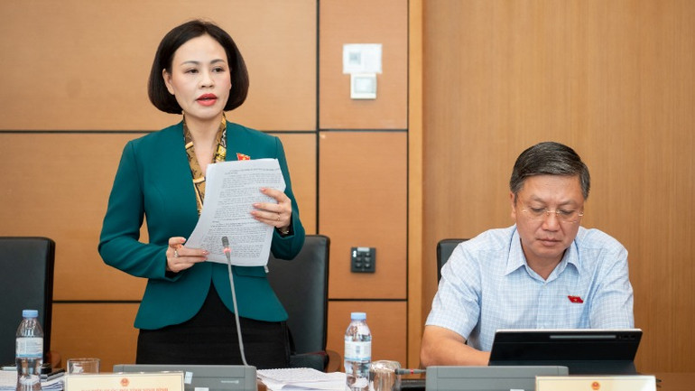 Đại biểu Trần Thị Hồng Thanh (Ninh Bình) phát biểu.