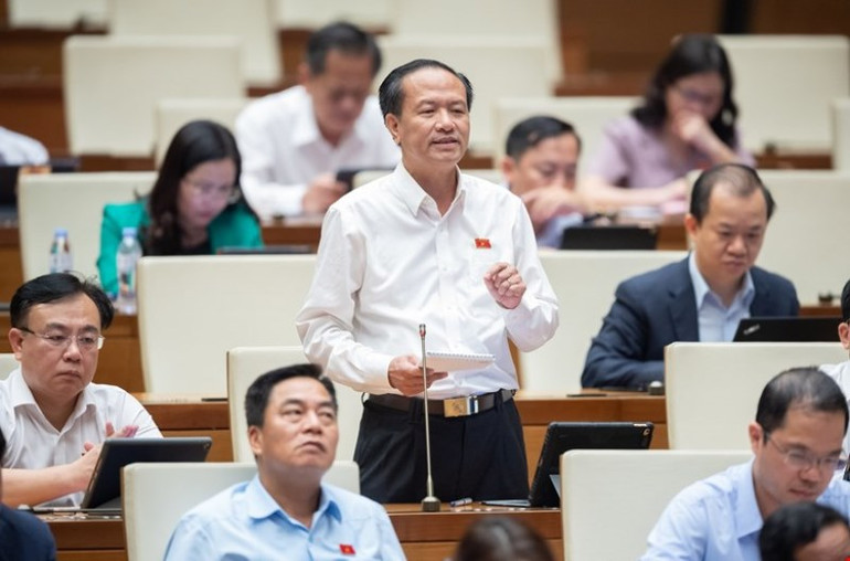 Đại biểu Đinh Ngọc Minh (Cà Mau) phát biểu.