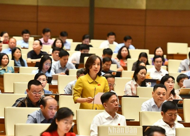 Đại biểu Nguyễn Thị Kim Anh (Bắc Ninh) phát biểu. (Ảnh: ĐĂNG KHOA)